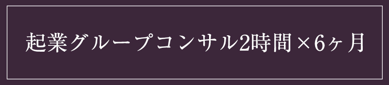 起業グループコンサル2時間×6ヶ月