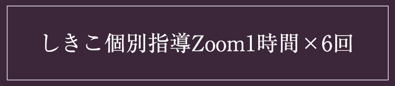 しきこ個別指導Zoom1時間×6回